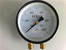 yzs-102双针压力表