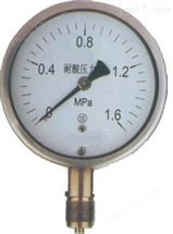 ynts-150耐酸压力表