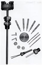 wzp-018端面铂电阻元件